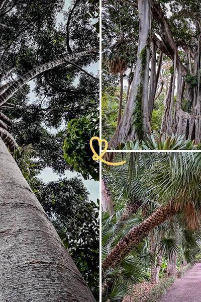 Jardines
