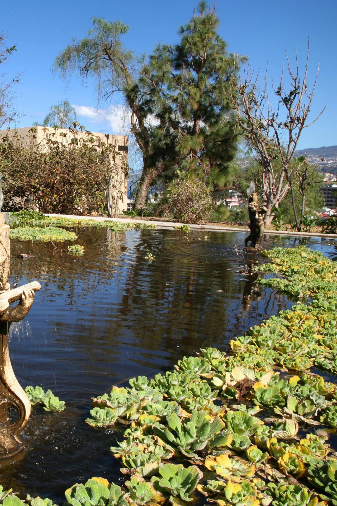 Jardines Acuáticos Risco Belle