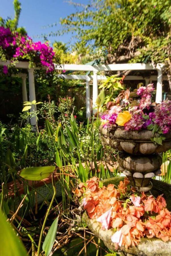 Jardín de Orquídeas de Sitio Litre